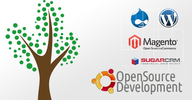 openn source development